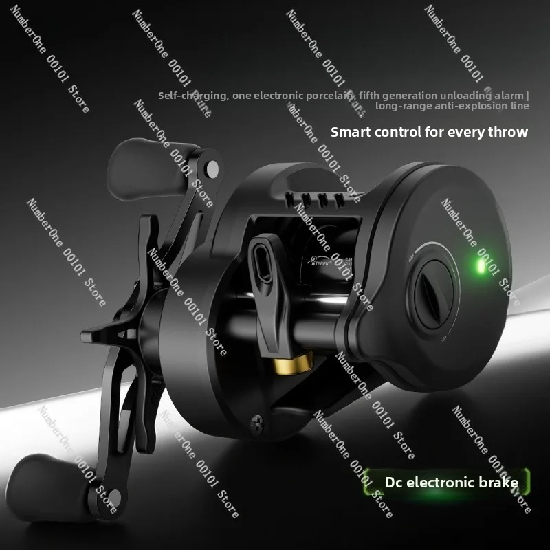 Electronic Magnetic Brake Fish - Electric Reel review and price